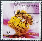 [Fauna - Bees, type CRH]