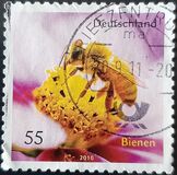 [Fauna - Bees, type CRH]