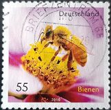 [Fauna - Bees, type CRH]