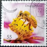 [Fauna - Bees, type CRH]