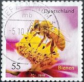 [Fauna - Bees, type CRH]