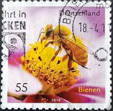 [Fauna - Bees, type CRH]