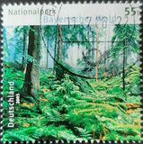 [German National Parks - Bavarian Forest, tip CFY]