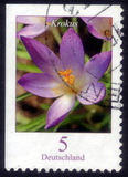 [Definitive Issue - Crocus, tip CGW]