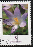 [Definitive Issue - Crocus, tip CGW]