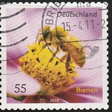 [Fauna - Bees, type CRH]