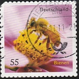 [Fauna - Bees, type CRH]