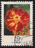 [Definitive Issue - Flowers, type CGQ]