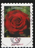 [Definitive Issue - Rose, tip CNB]