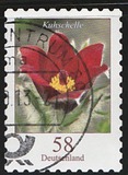 [Flora - Flowers, type CWQ]