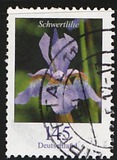 [Definitive Issue - Flowers, type CHV]