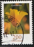 [Flowers - California Poppy, tip CJW]