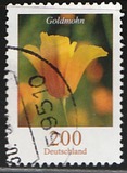 [Flowers - California Poppy, tip CJW]