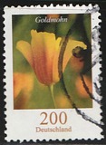 [Flowers - California Poppy, tip CJW]