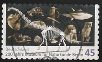 [The 200th Anniversary of the Museum of Natural History - Berlin, type CQP]