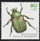 [Youth Hostel - Insects, type BCI]