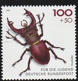 [Youth Hostel - Insects, type BCK]