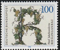 [The 500th Anniversary of the Viticulture of Riesling, tip ATT]