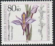 [Charity Stamps - Orchids, тип ALN]