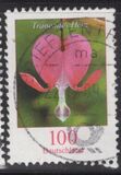 [Definitive Issue - Bleeding Heart, type CJD]