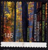 [UNESCO World Heritage - Buchenwald Forrest, type CZC]