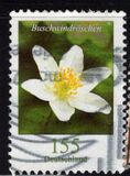 [Definitives - Flowers, type DLL]