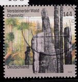 [Natural monuments in Germany - Chemnitz Petrified Forest, tip CCO]