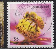 [Fauna - Bees, type CRH]