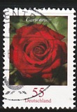 [Definitive Issue - Rose, type CNB]