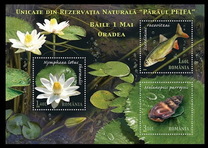 [Natural Reserve Paraul Petea - Flora and Fauna, tyyppi JBR]