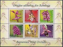 [Wild Orchids, type IVK]