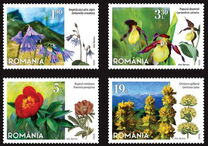 [Flora - Protected Flowers of Romania, Scrivi LDM]