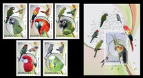 [Birds - Parrots, type JHZ]