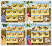 [Birds - Poultry, סוג LWB]