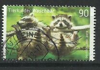 [Baby Animals - Racoon, type DKF]