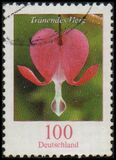 [Definitive Issue - Bleeding Heart, type CJD]