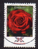 [Definitive Issue - Rose, tip CNB]