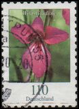 [Definitives - Flowers, type DLK]