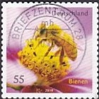 [Fauna - Bees, type CRH]