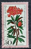 [Charity Stamps - Alpine Flowers, type YJ]