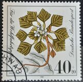 [Charity Stamps - Aquatic  Plants, type AGZ]