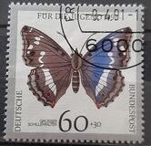 [Youth Hostel - Butterflies, type AWL]