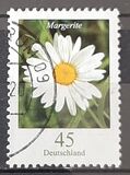 [Flora - Marguerite, type CFX]