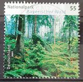 [German National Parks - Bavarian Forest, type CFY]