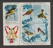 [Christmas - Birds, type ANM]