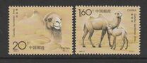 [Bactrian Camel, type COA]